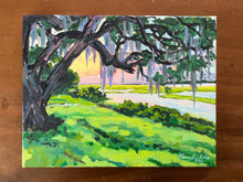 Sunset Behind the Spanish Moss