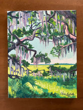Looking Out From Under the Oaks