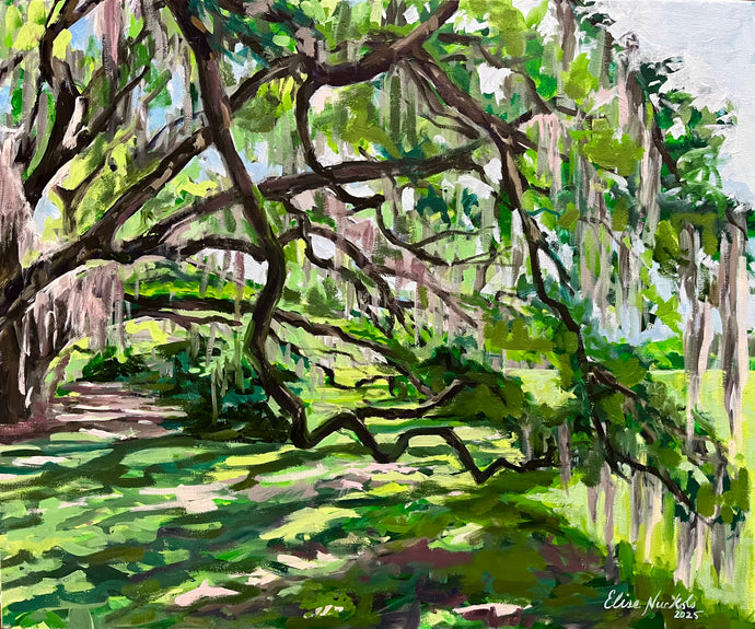 Under the Live Oaks