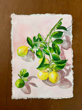 Lemons on Pink