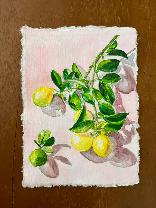 Lemons on Pink