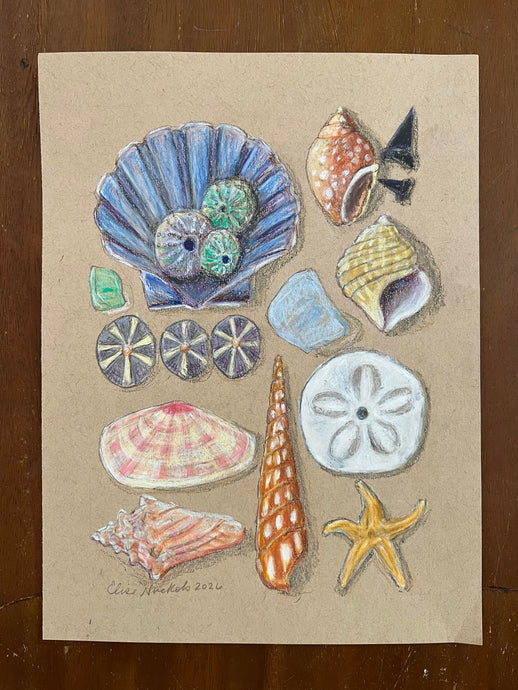 Beachcombing 23