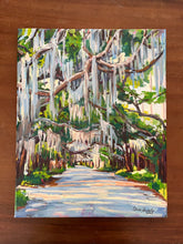 Spanish Moss in the Trees