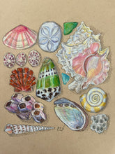 Beachcombing 13