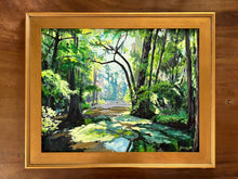 Dappled Light through the Cypress