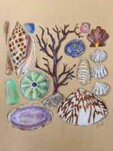 Beachcombing 12