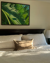 Atlantic Street Fan Palms