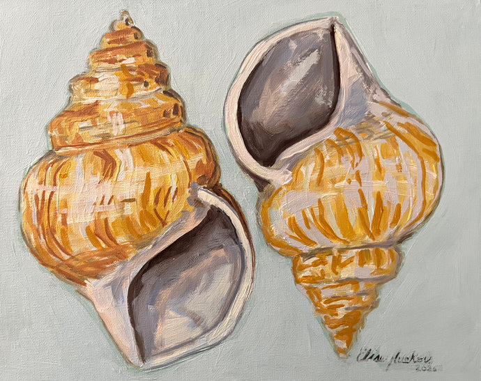 Small Ostrich Foot Shell