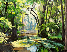 Dappled Light through the Cypress