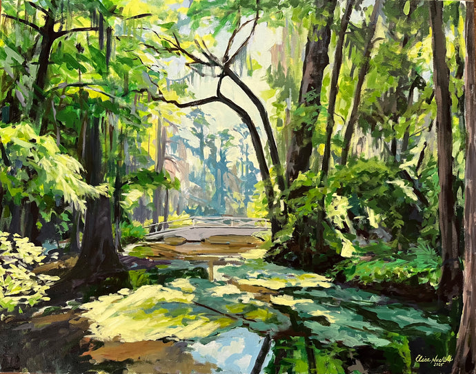 Dappled Light through the Cypress