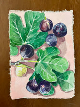 Figs on Pink I