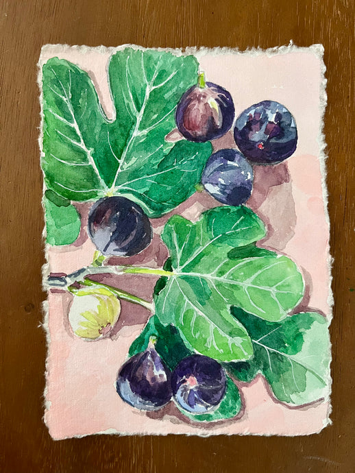Figs on Pink I