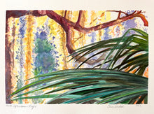 Late Afternoon Light