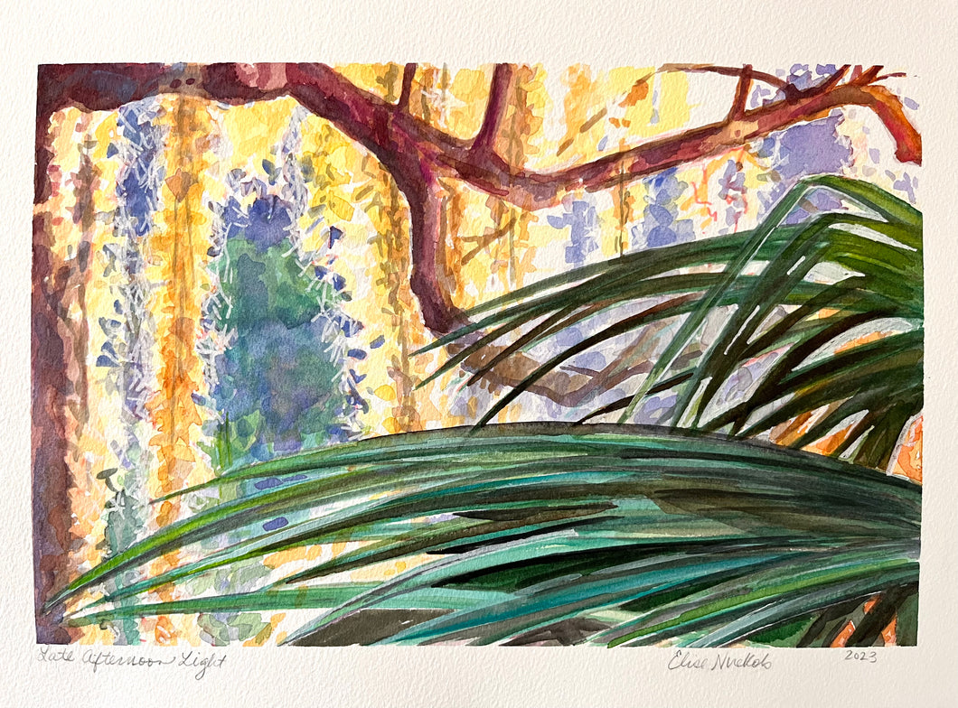 Late Afternoon Light