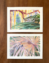 Late Afternoon Light