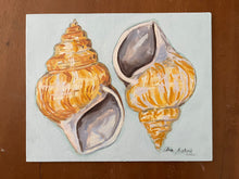 Small Ostrich Foot Shell