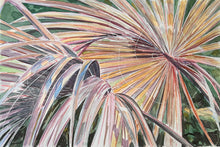 Dried Palm Fronds