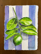 Single Lime on Stripes