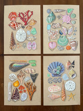 Beachcombing 24