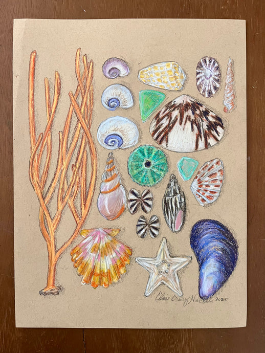 Beachcombing 18