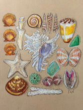 Beachcombing 10