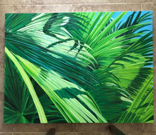 Atlantic Street Fan Palms