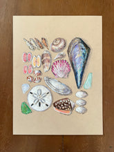 Beachcombing 8