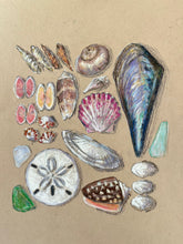 Beachcombing 8