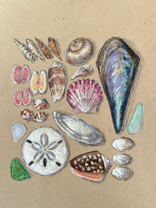 Beachcombing 8