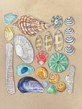 Beachcombing 7