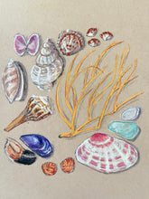 Beachcombing 2