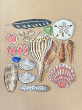 Beachcombing 3