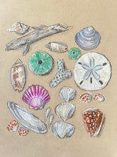 Beachcombing 4