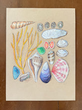 Beachcombing 5