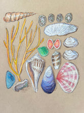 Beachcombing 5
