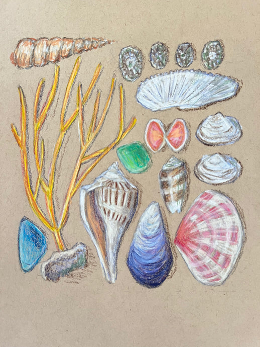 Beachcombing 5