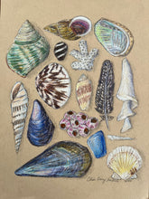 Beachcombing 19