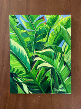 Banana Leaves