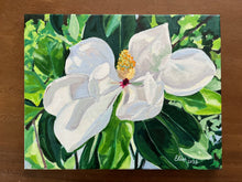 Magnolia Blosson