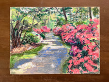 Azaleas in Bloom
