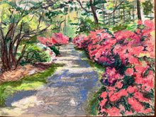 Azaleas in Bloom