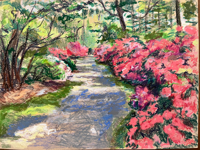 Azaleas in Bloom