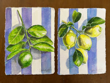 Single Lime on Stripes