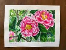 ‘Herme’ Camellia