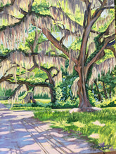 Mepkin Abbey Oaks, Mid Morning