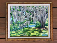 Runnymede Spanish Moss
