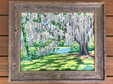 Runnymede Spanish Moss