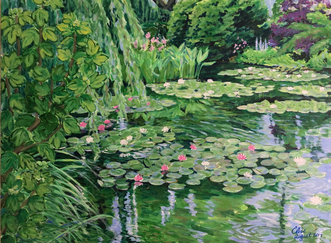 Ripples on the Pond
