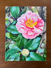 Peppermint Camellia and Bud