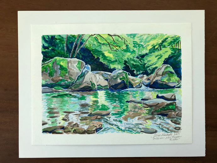 Falls on the Pigeon River